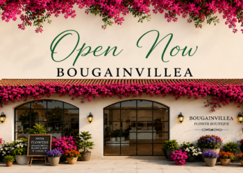Bougainvillea Flower Boutique in Raipur with vibrant pink bougainvillea flowers and elegant storefront