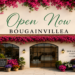 Bougainvillea Flower Boutique in Raipur with vibrant pink bougainvillea flowers and elegant storefront